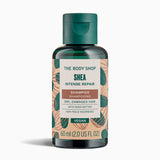 The Body Shop Shea Intense Repair Shampoo bottle on a white background